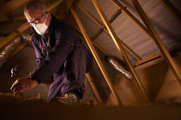 Best Geographic-Specific Insulation Services in New Baltimore, VA