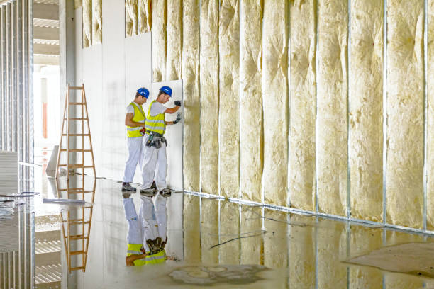 Best Specialized Insulation Services in New Baltimore, VA